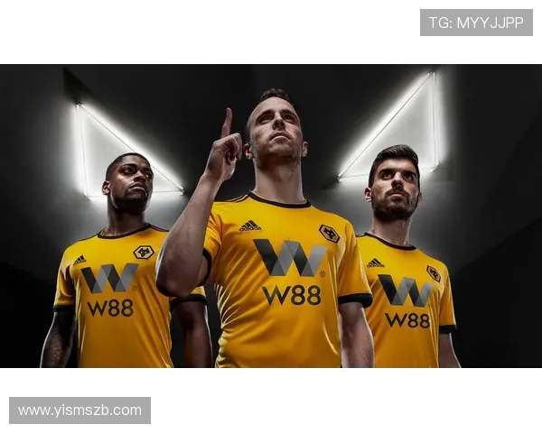 英超球队的视觉识别系统