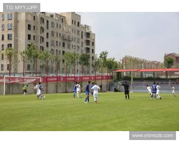 黄黑风暴与南部之星德甲两极格局中的球队生态与竞争态势分析